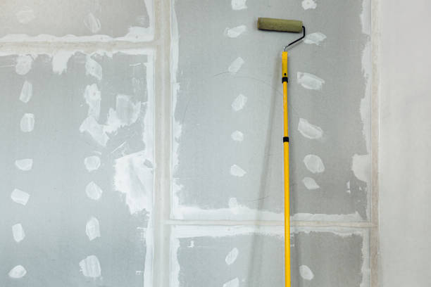Best Mold Documentation for Insurance Claims  in Gananda, NY