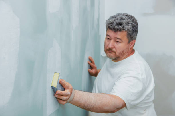 Best Air Quality Testing for Mold Spores  in Gananda, NY